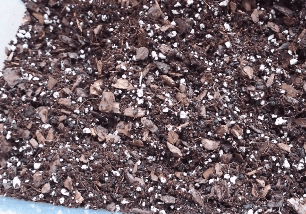 philodendron soil mix recipe for growth