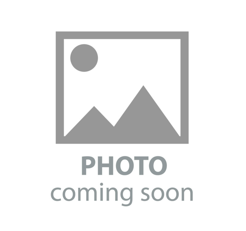 Hawaiian Bamboo Orchid Plants - Live Exotic Arundina Graminifolia 1