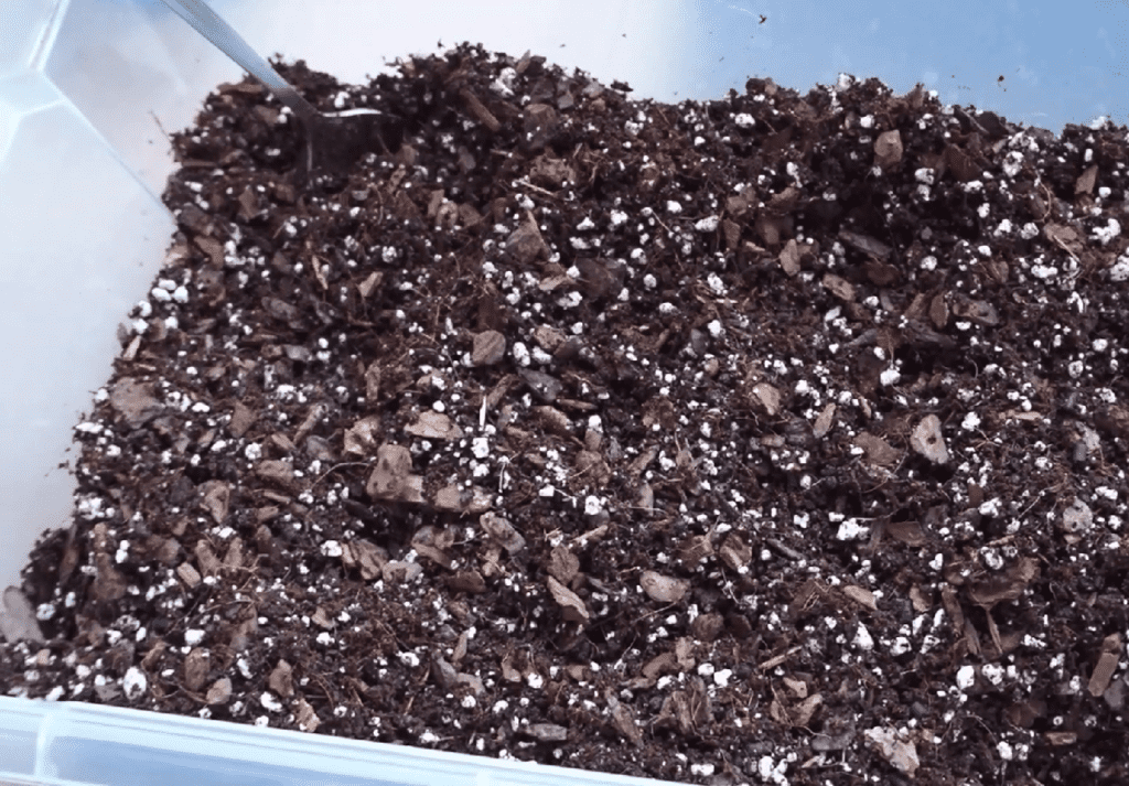 best philodendron soil mix recipe