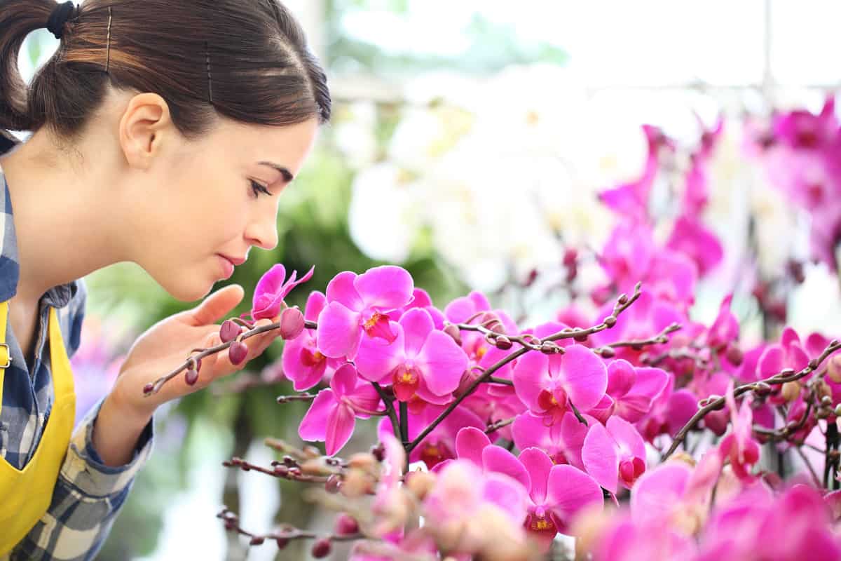 Unleash Your Senses: Zara Deep Garden Smells Like Paradise