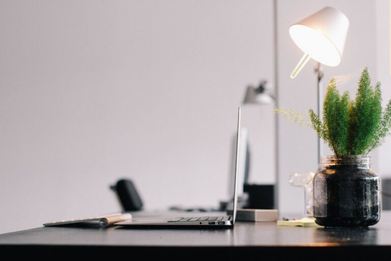 best plants for office with no window