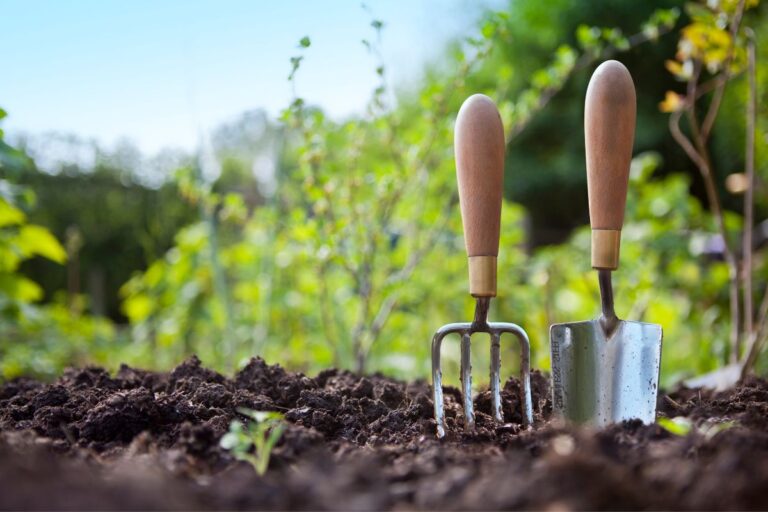 can i use garden soil for indoor plants