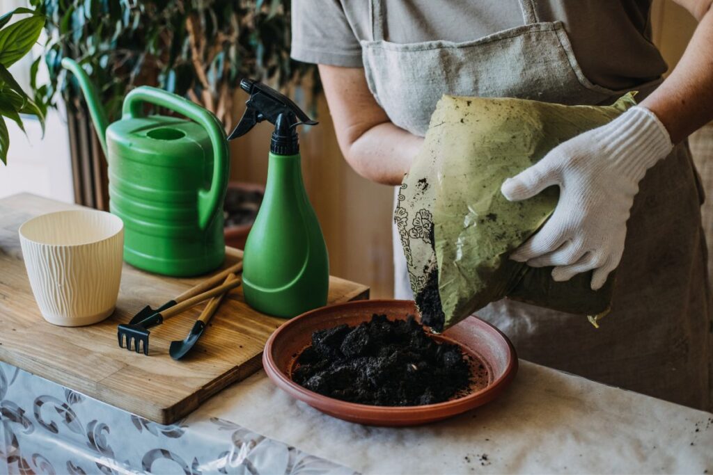 what is the difference between garden soil and potting soil