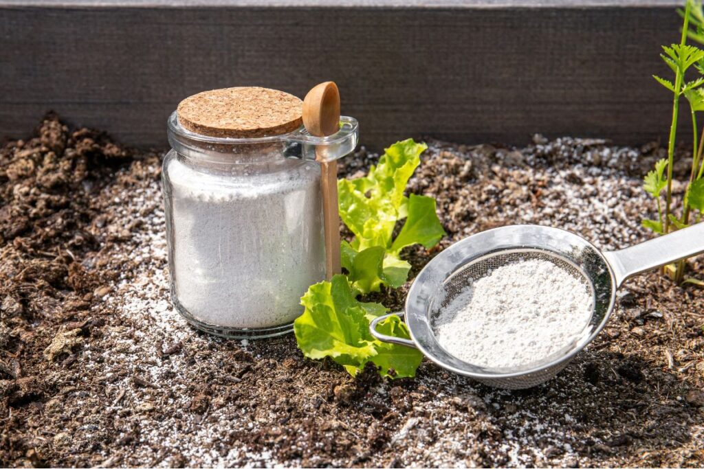 how often should you apply diatomaceous earth