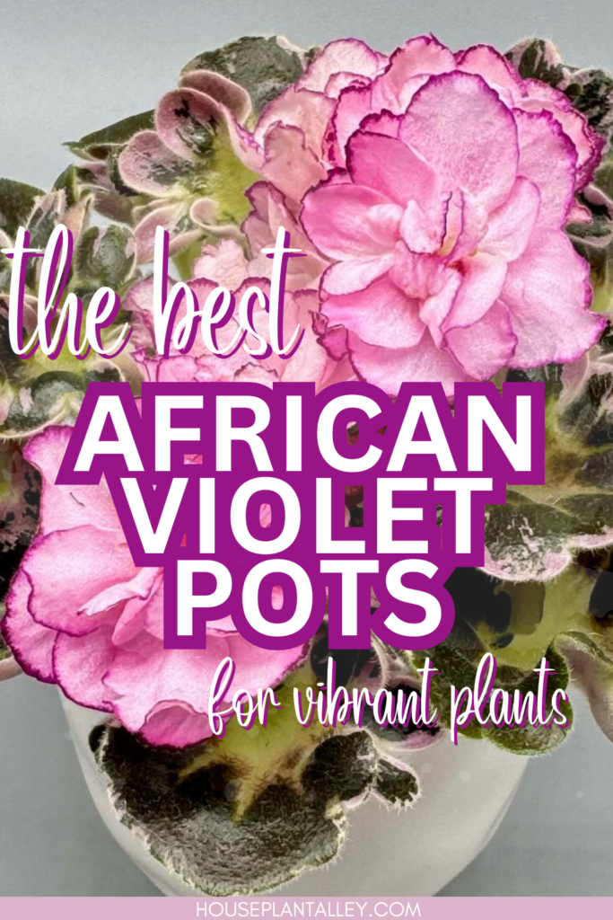 best African violet pots
