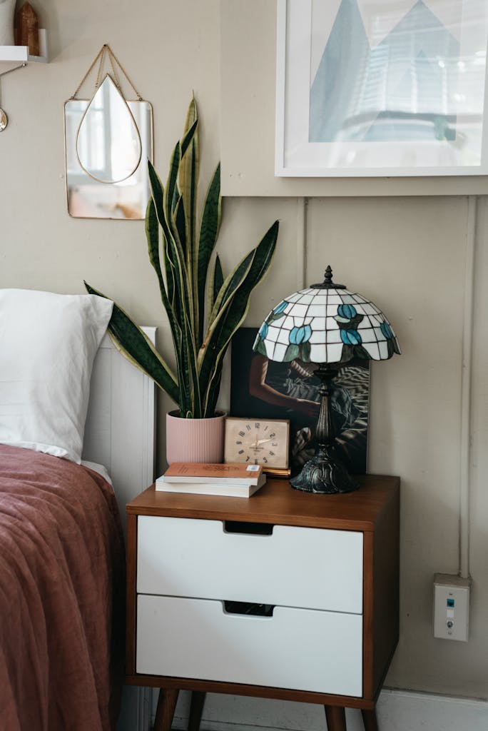 A minimalist bedroom featuring a stylish side table, snake plant, and decorative lamp.