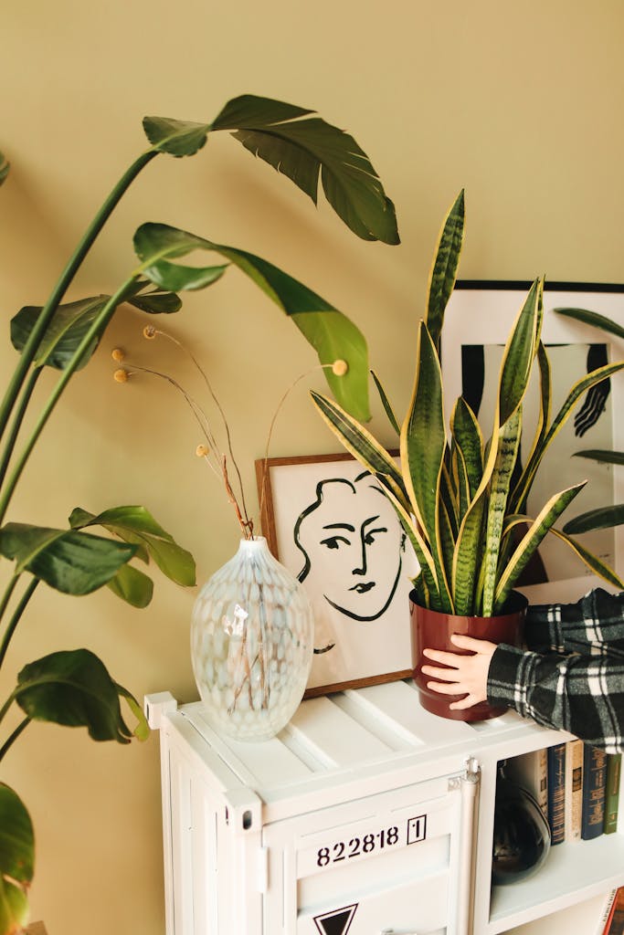 A peaceful interior space featuring plants and art, creating a cozy atmosphere.