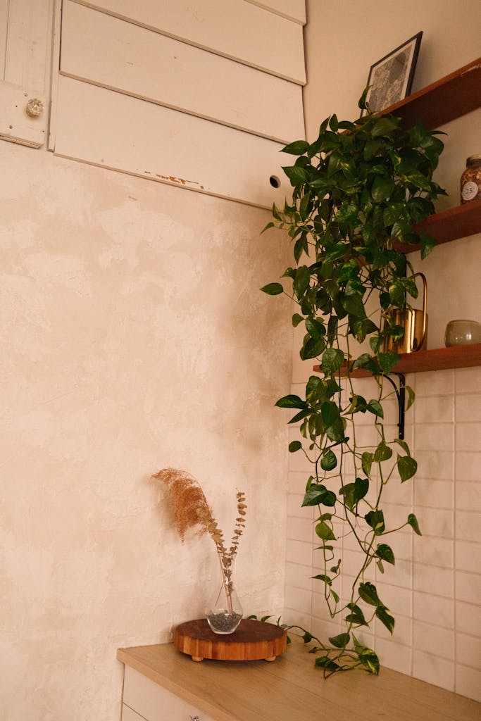 A stylish interior featuring a cascading pothos plant and modern decor elements.