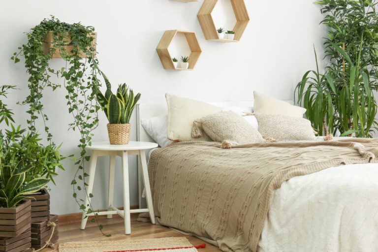 types of air purifying plants