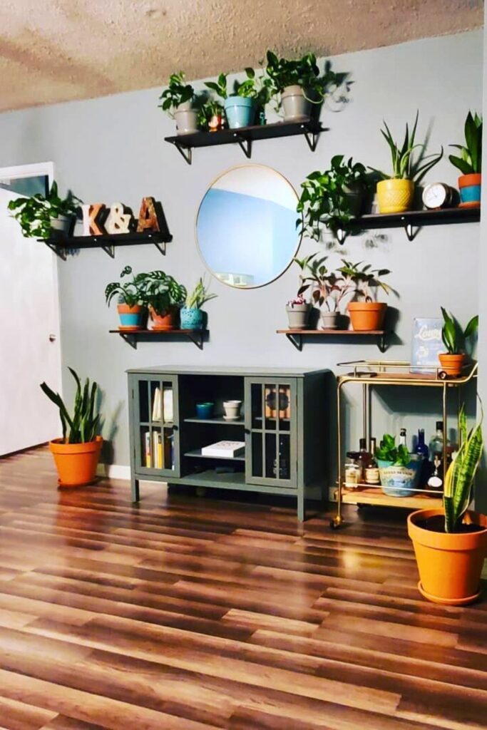 Aglaonema Wall Plant 1