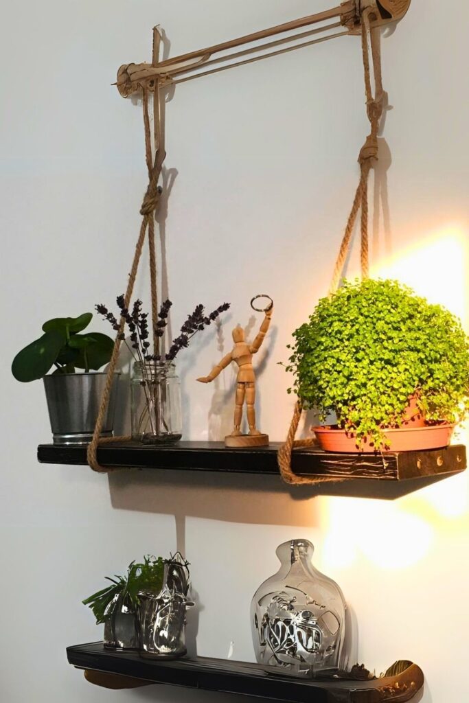 Babys Tears Wall Plant