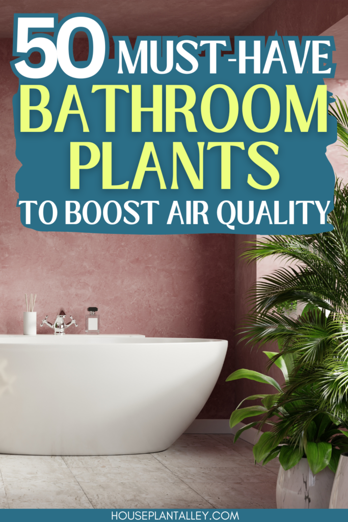 Bathroom Plants