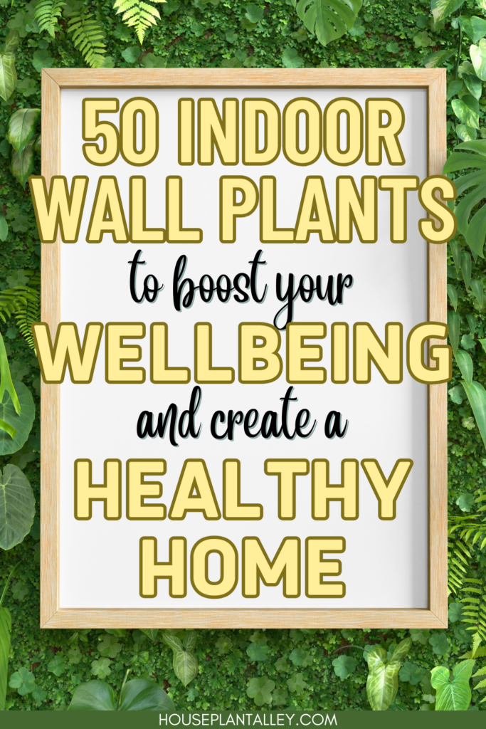 Best Wall Plants for Indoors