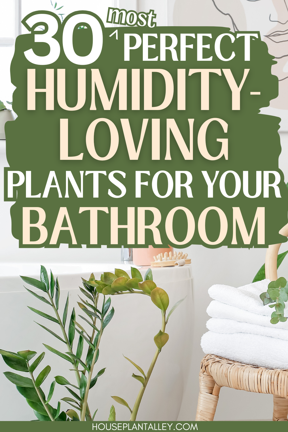 30 Best Dehumidifying Plants For Bathrooms | Houseplant Alley