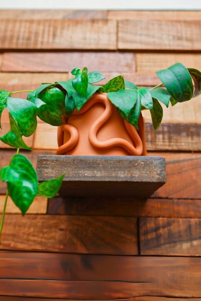 Lipstick Plant Wall Plant