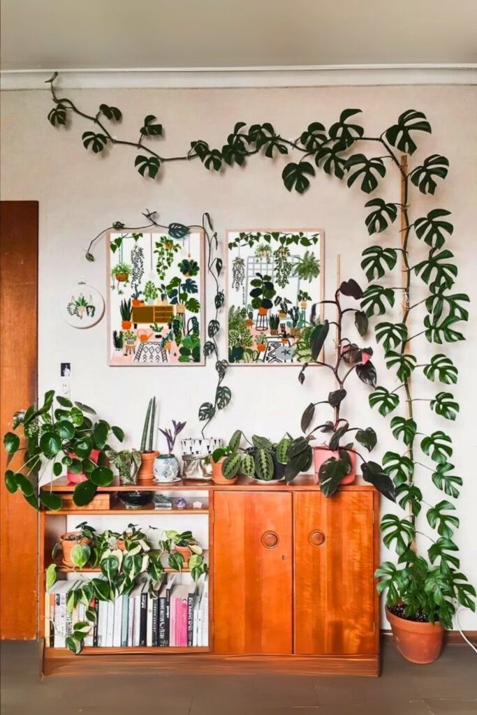 Mini Monstera Wall Plant