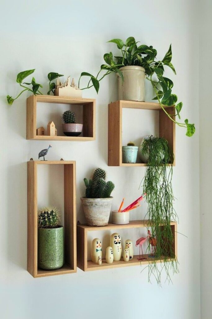 Mistletoe Cactus Wall Plant