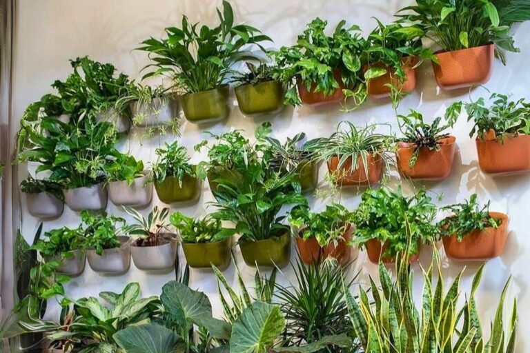 best wall plants for indoor