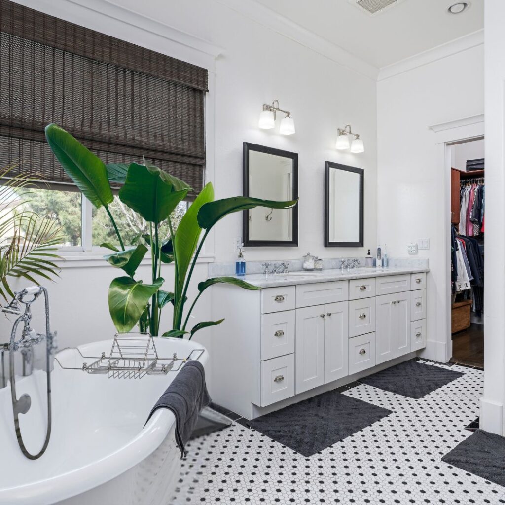 bird of paradise bathroom plant