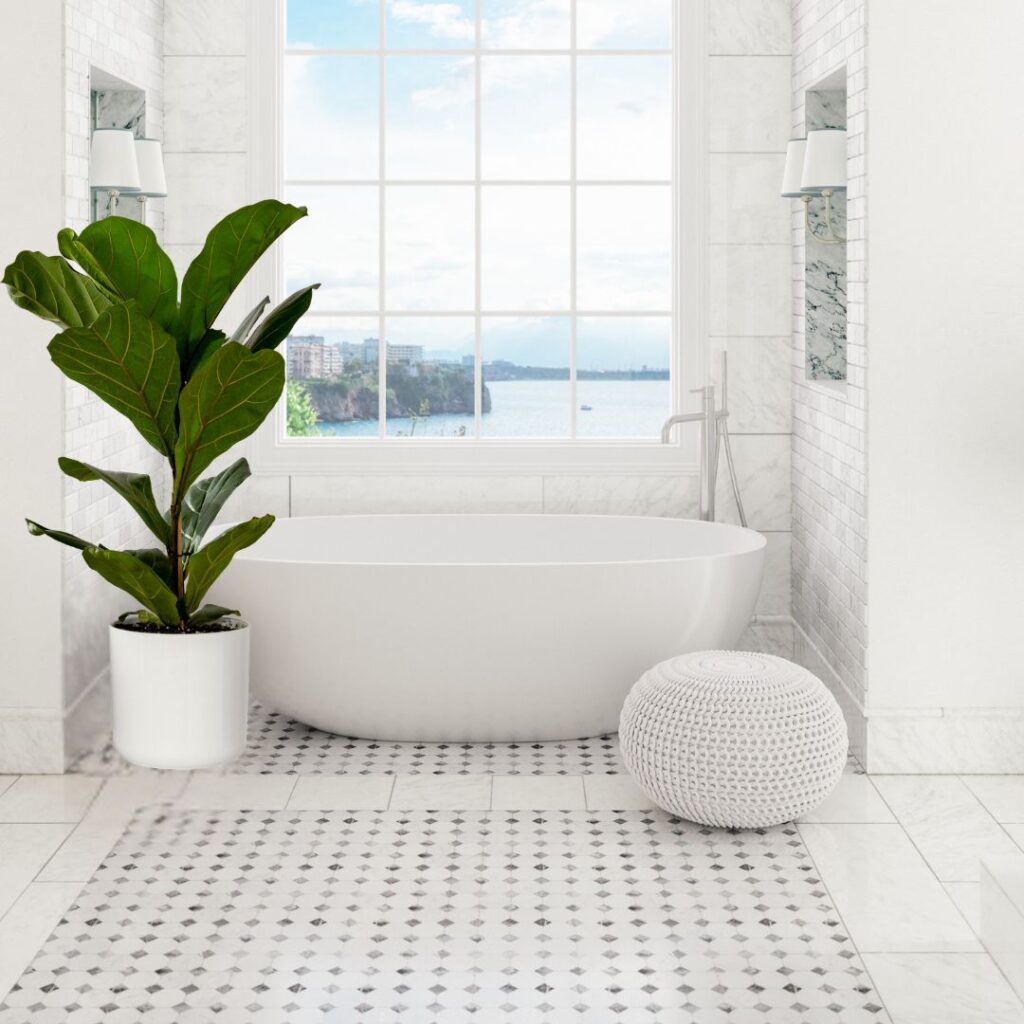 fiddlle leaf fig bathroom plant