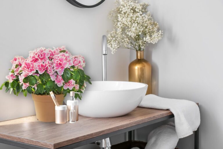 how to care for azalea in the bathroom