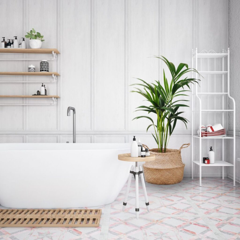 kentia palm bathroom plant