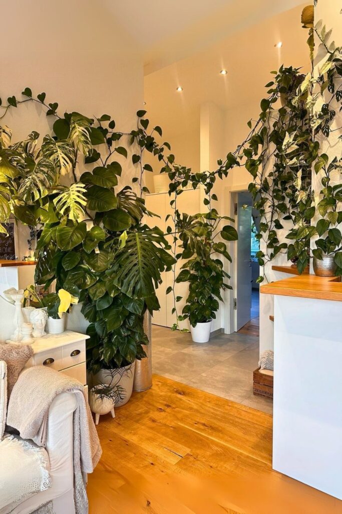 money plant decor 16