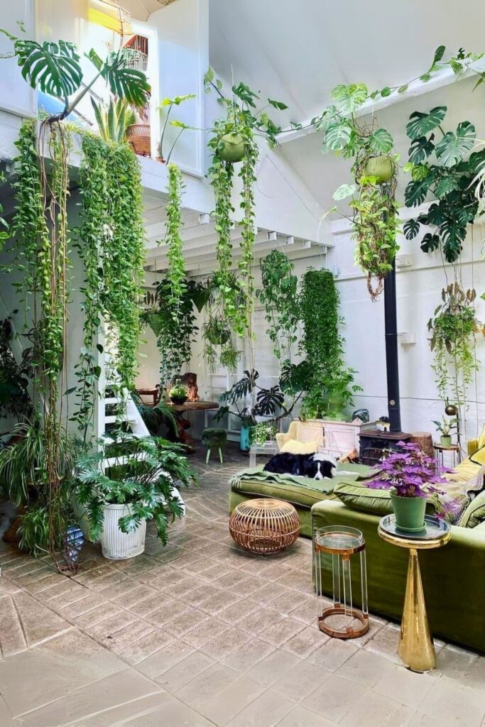 money plant decor 2