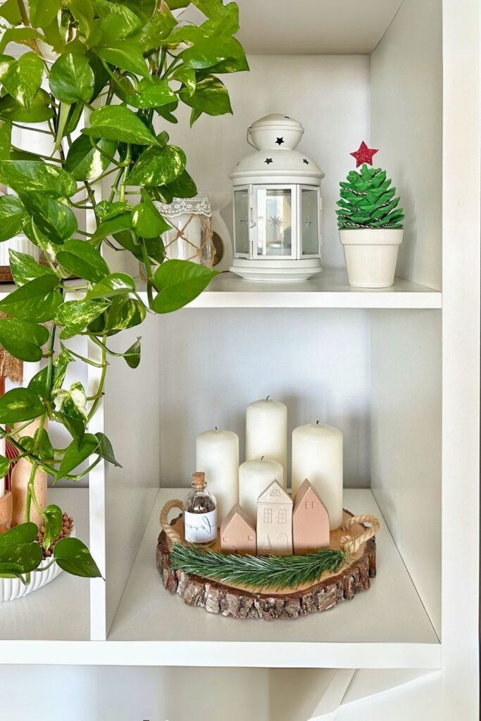 money plant decor 21
