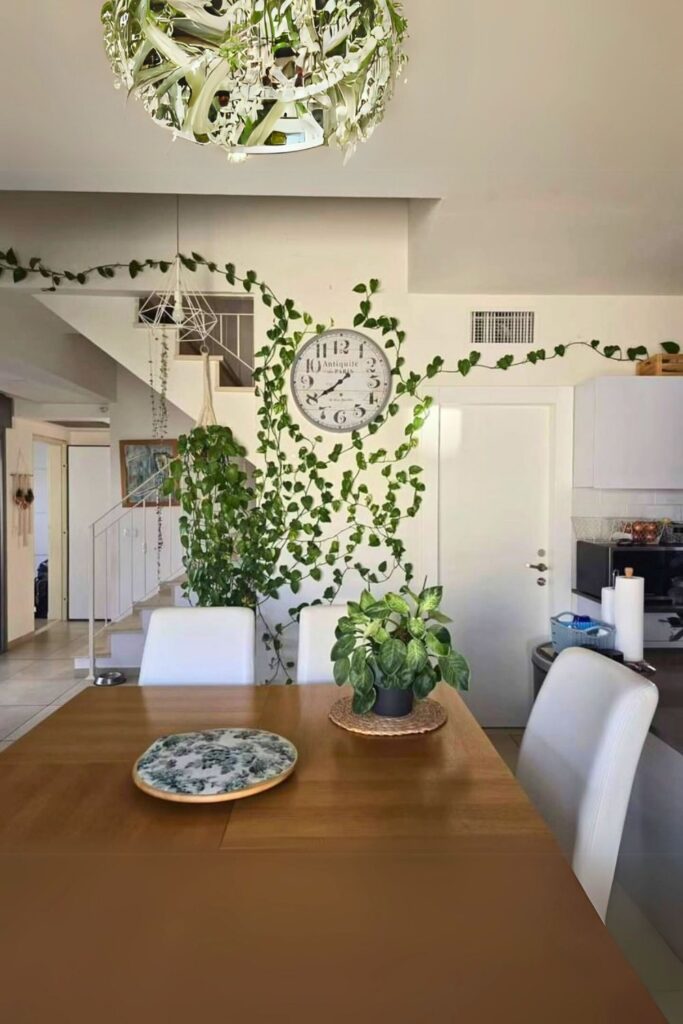 money plant decor 22