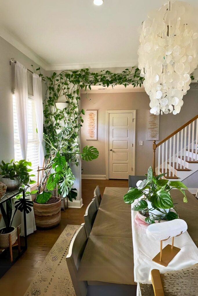money plant decor 3