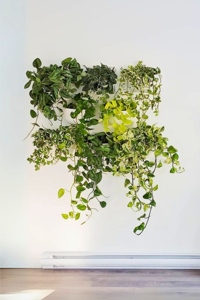 money plant decor 37