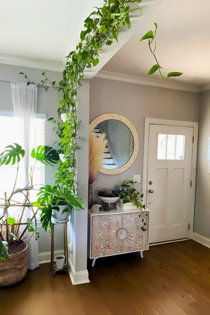 money plant decor 4