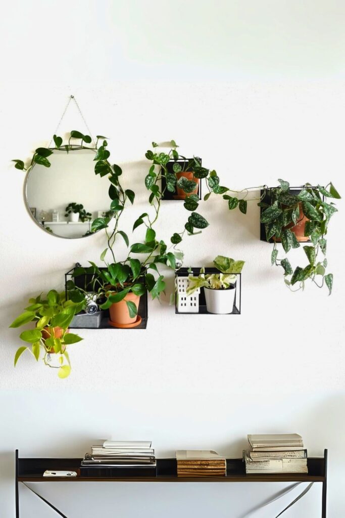 money plant decor 44