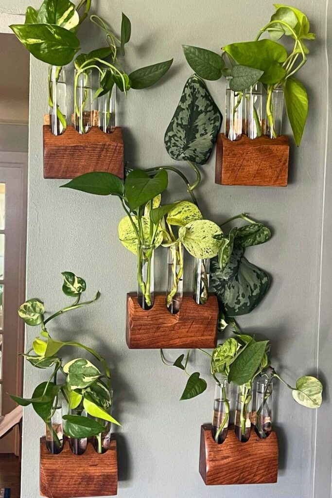money plant decor 53