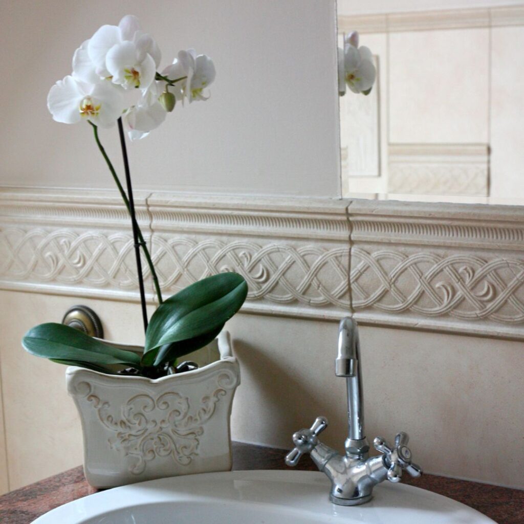 orchid bathroom plant 1