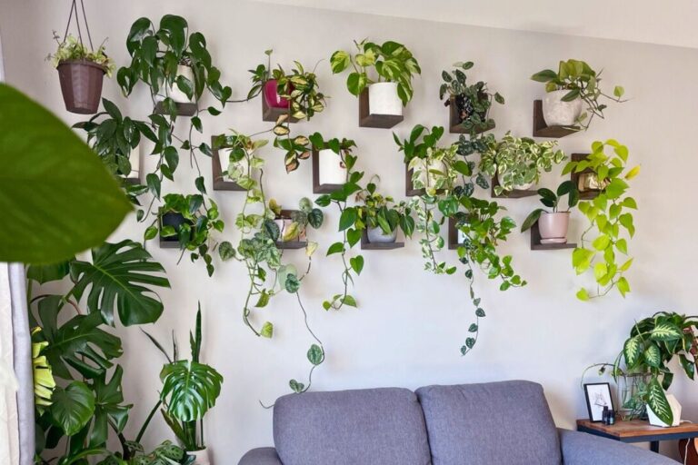 wall plant decor ideas