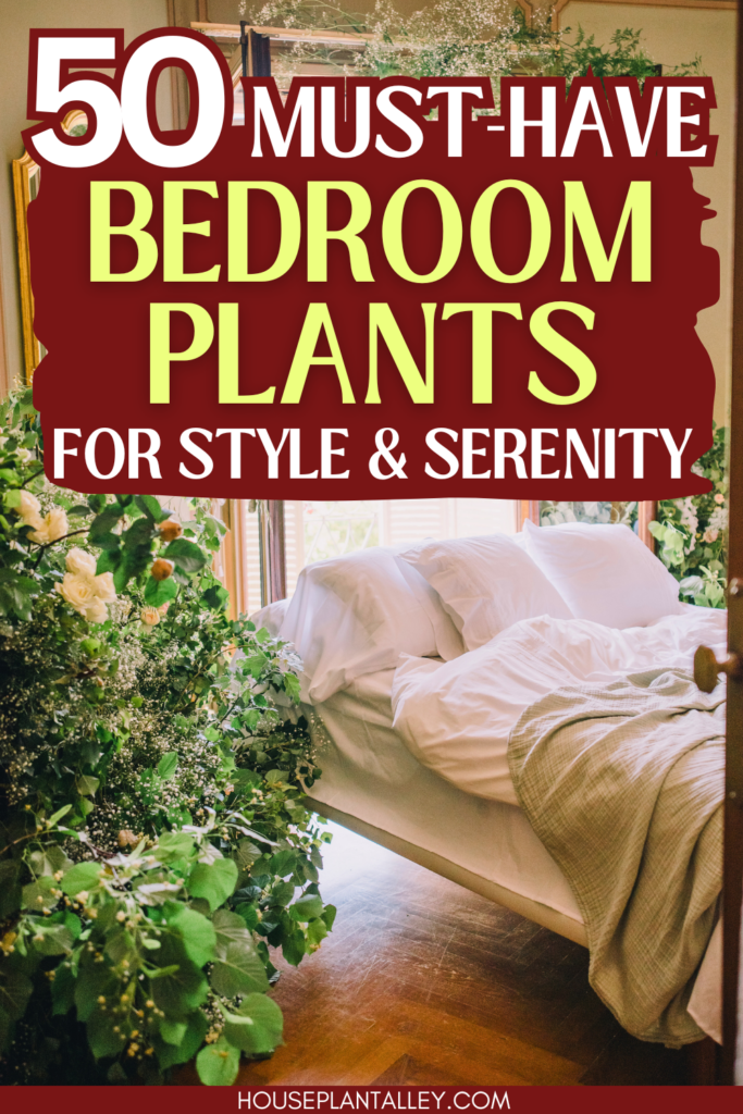 Bedroom Plants 1