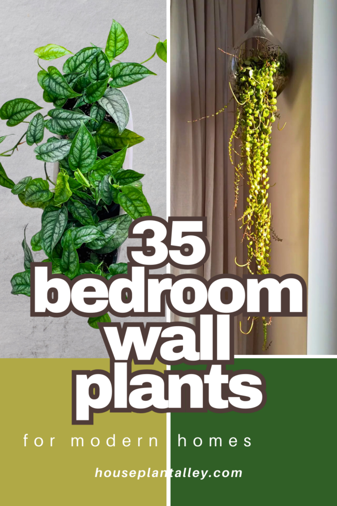 Bedroom Wall Plants 1