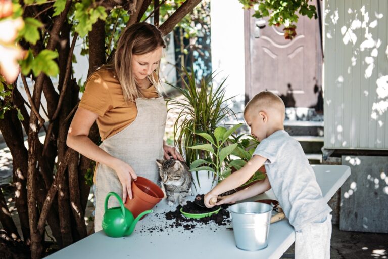 How to Care for Houseplants in Spring