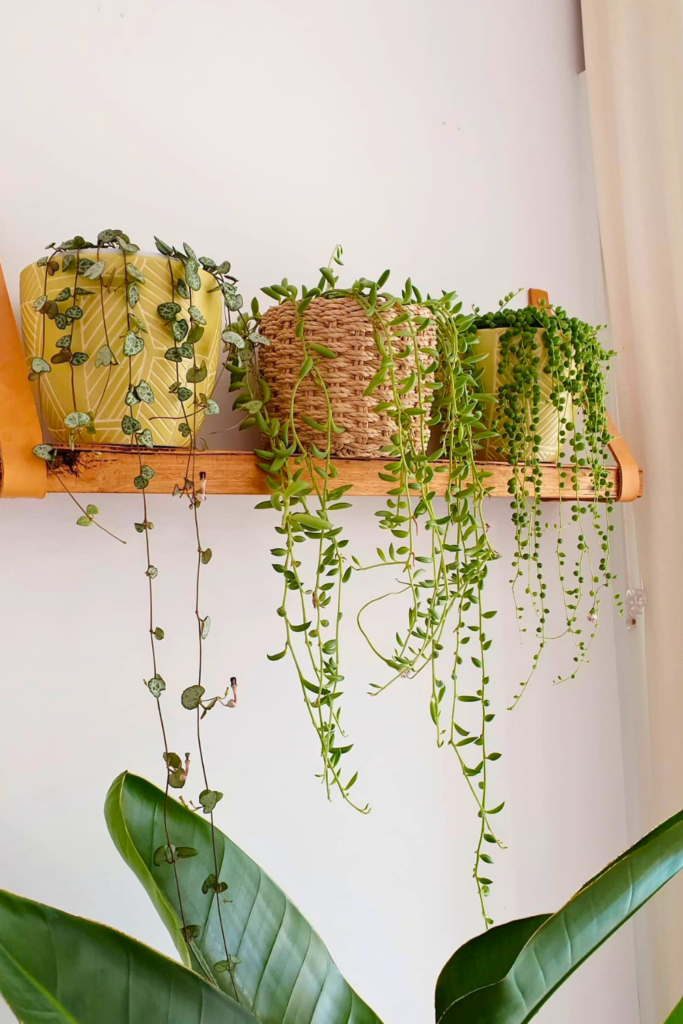 String of Bananas for bedroom wall 1