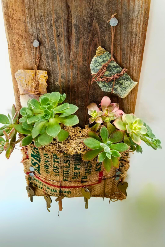 Succulents for bedroom wall 1