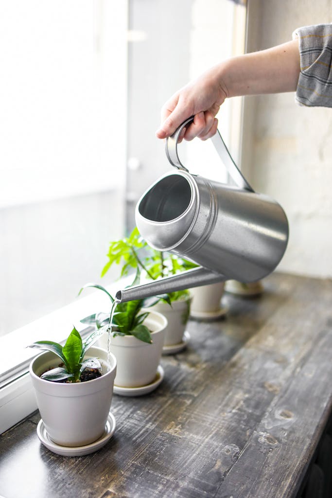 A hand watering indoor plants on a window sill using a metal watering can.