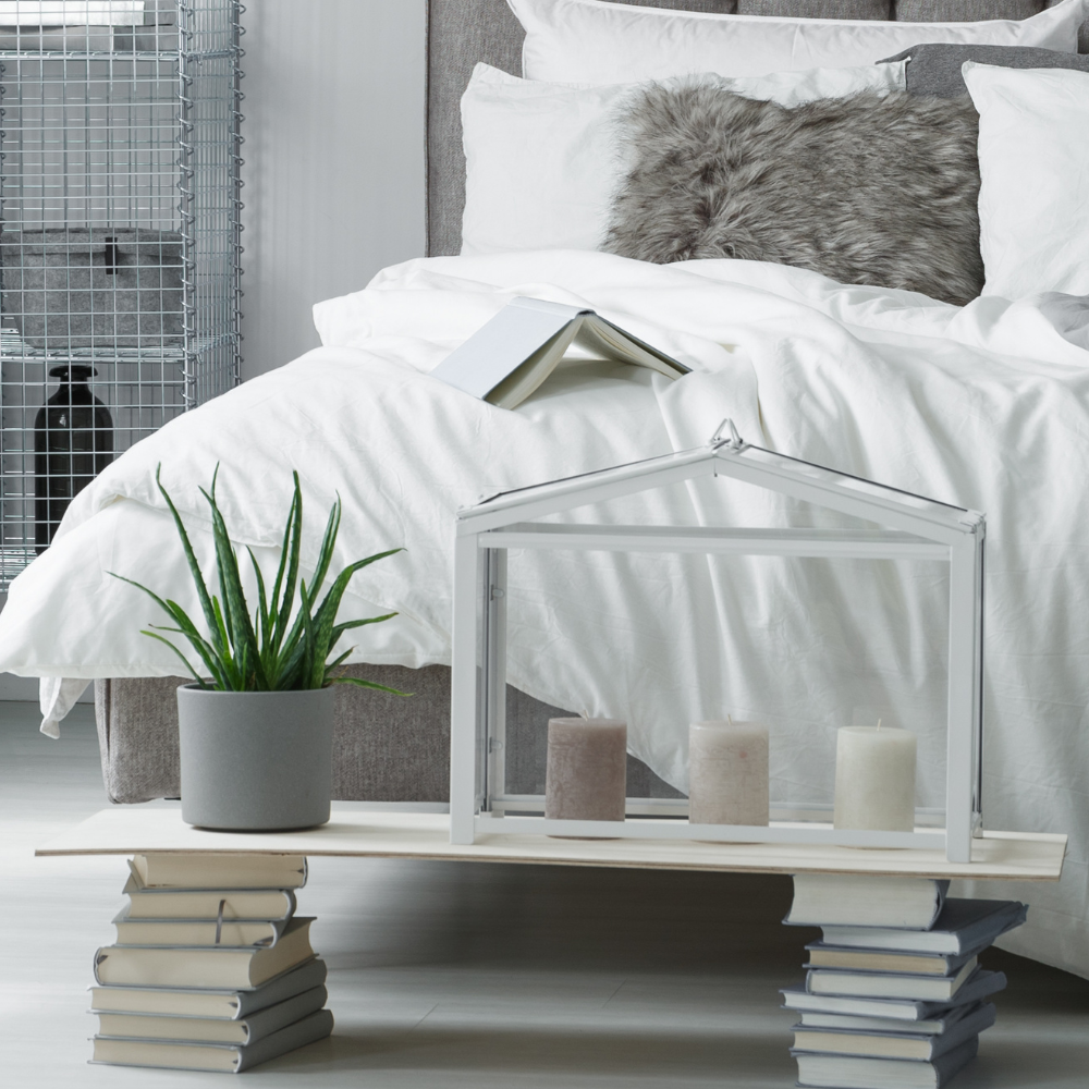 aloe vera for bedroom