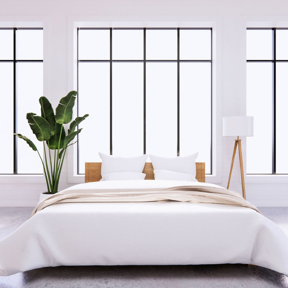 bird of paradise for bedroom 1