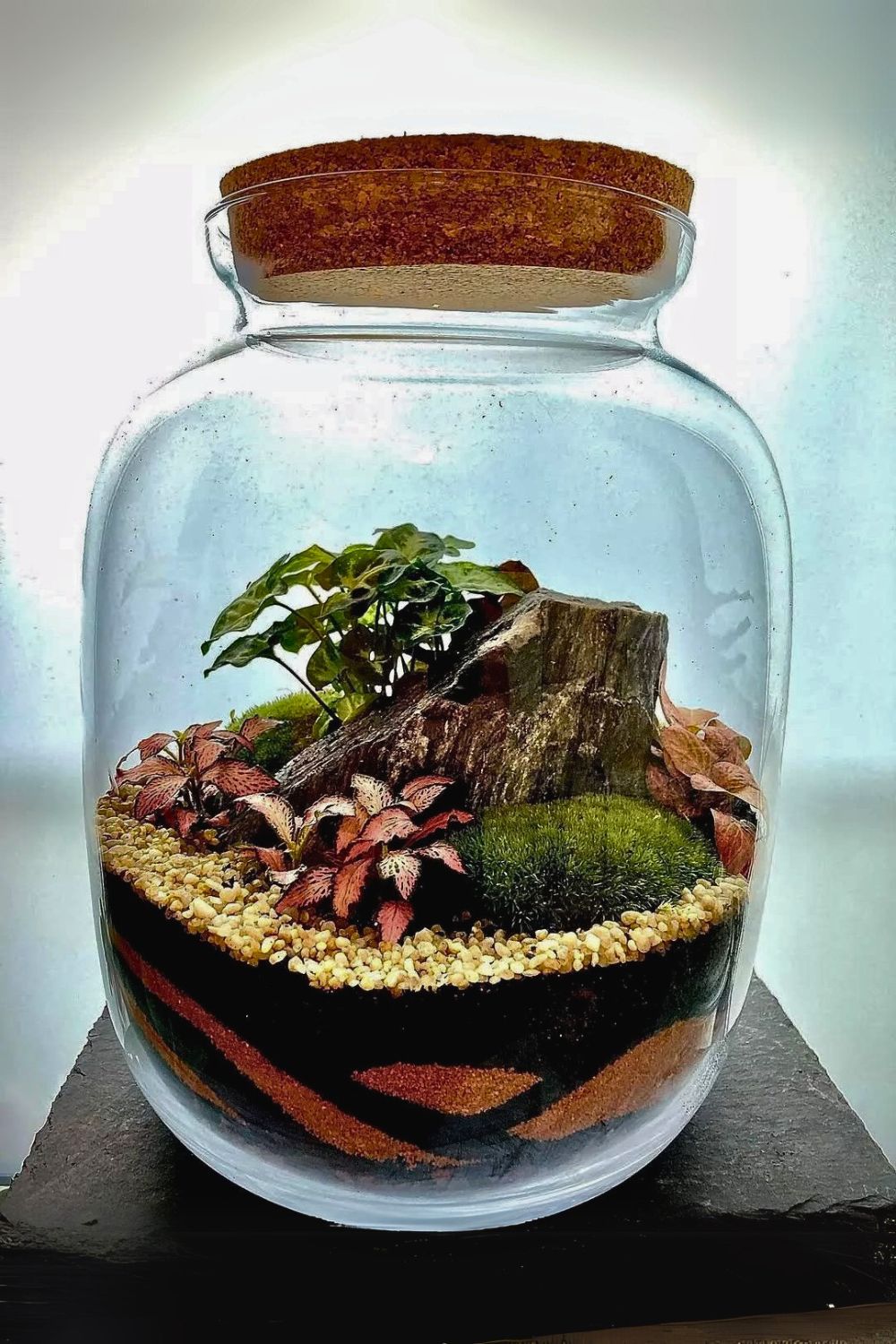 DIY Houseplant Projects: Transform Your Space with Easy and Fun Plant ...