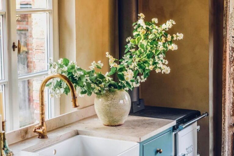 indoor jasmine plant care