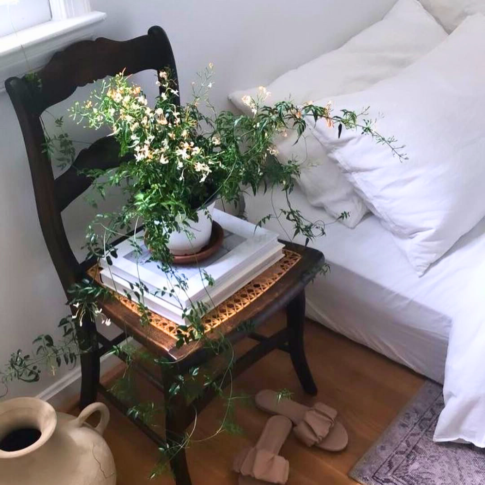 jasmine for bedroom 1
