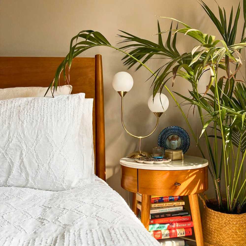 kentia palm for bedroom 1