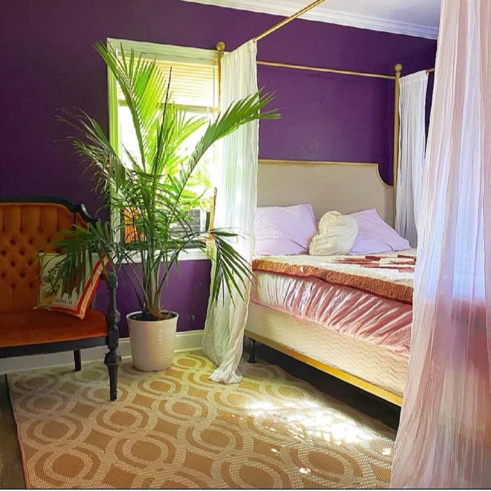 majesty palm for bedroom 1